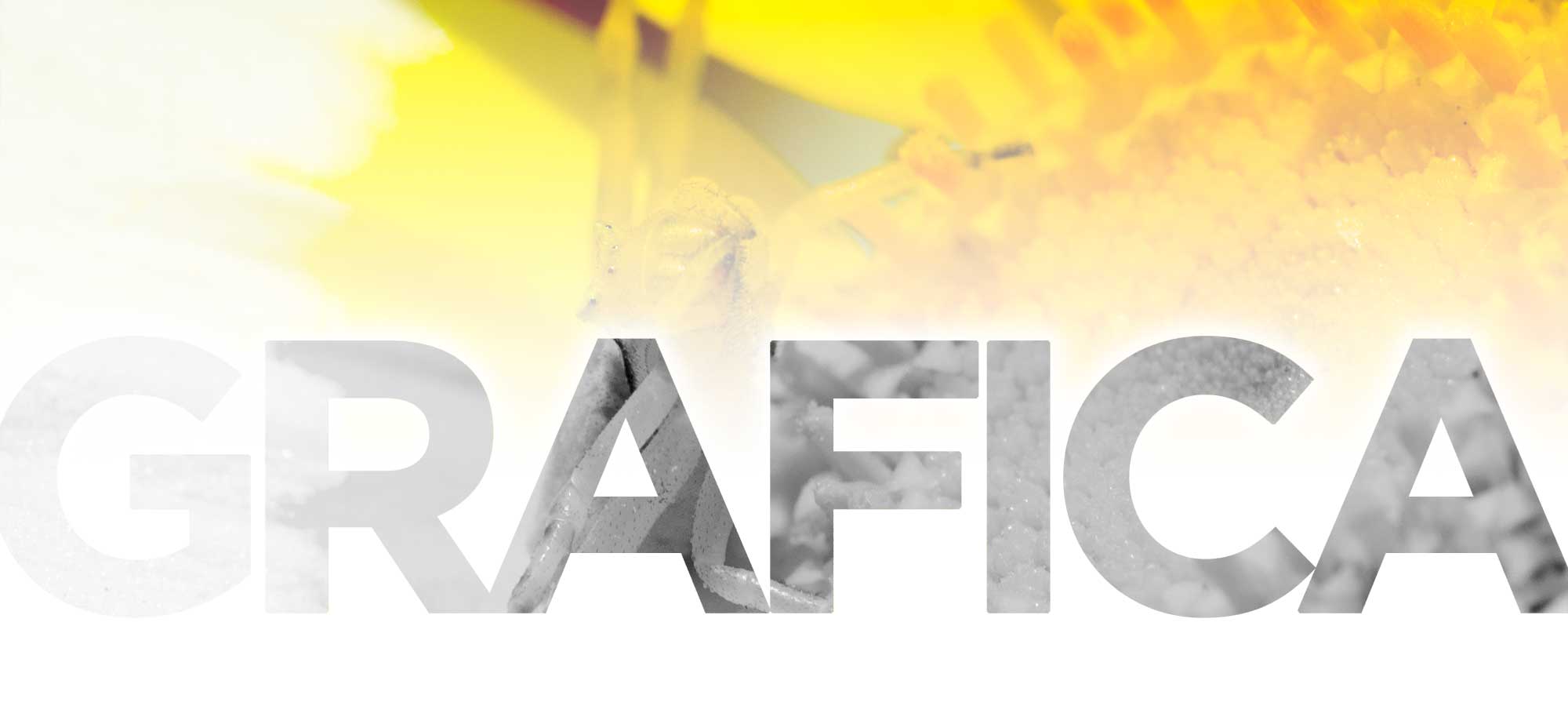 Grafica
