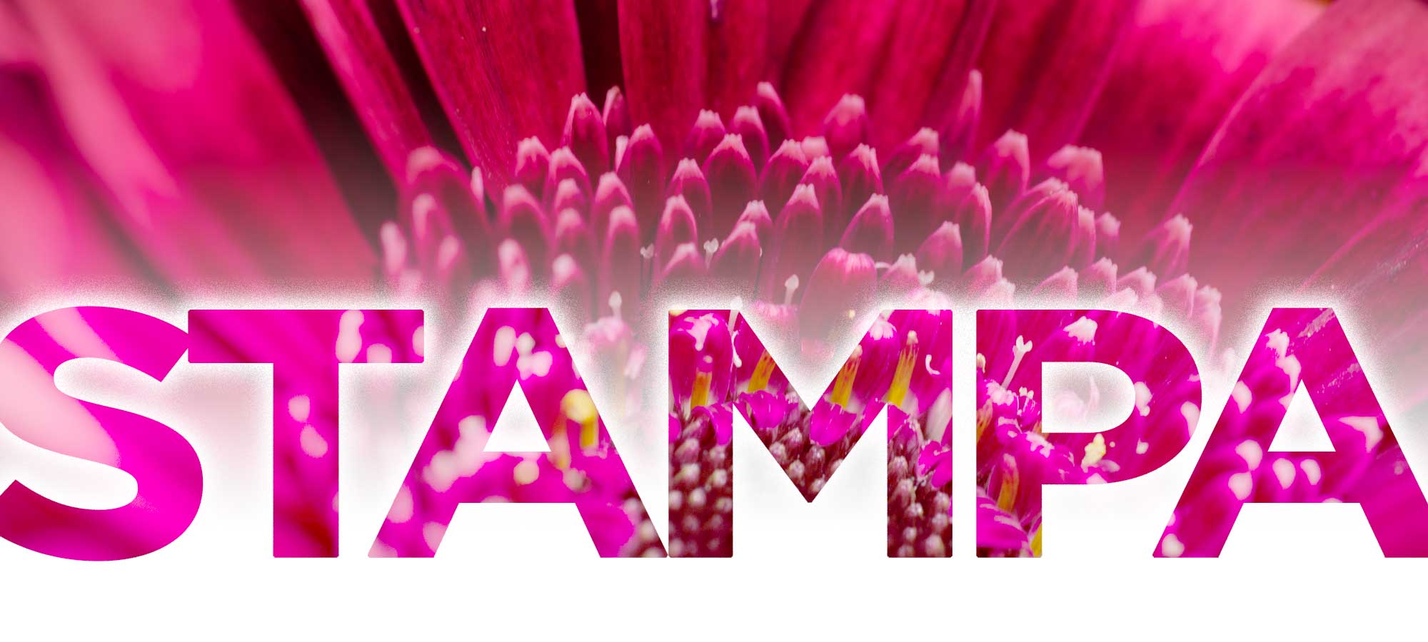 Stampa